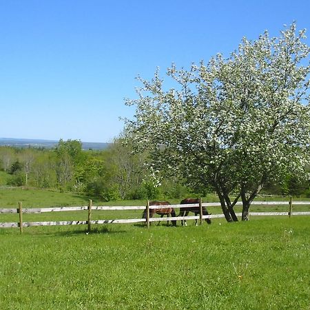 Azelia Farmhouse B&B Antigonish Buitenkant foto