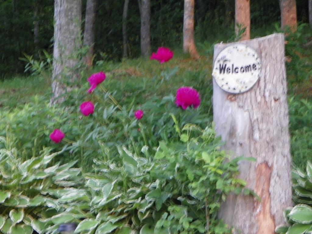 Azelia Farmhouse B&B Antigonish Buitenkant foto